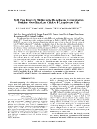 Split Dose Recovery Studies Using Homologous Recombination Deficient Gene Knockout Chicken B Lymphocyte Cells