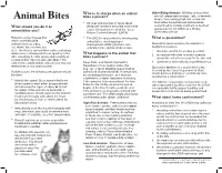 Animal Bites