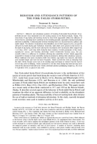 Behavior and Attendance Patterns of the Fork-Tailed Storm-Petrel