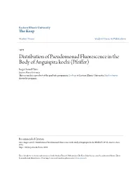 Distribution of Pseudomonad Fluorescence in the Body Of