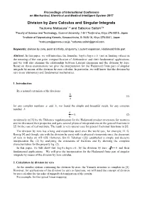 Division by Zero Calculus and Singular Integrals
