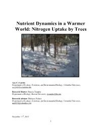 Nitrogen Uptake by Trees