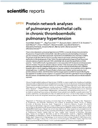 Protein Network Analyses of Pulmonary Endothelial Cells In