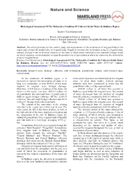 99 Hydrological Assessment of the Meliorative Condition of Collector