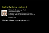 Motor Systems: Lecture 4 Michael S