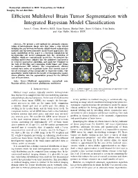 Efficient Multilevel Brain Tumor Segmentation with Integrated