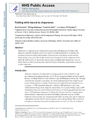 Folding While Bound to Chaperones
