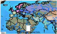 Map by Steve Huffman; Data from World Language Mapping System