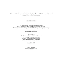 Tool-Use and the Chimpanzee Brain: an Investigation of Gray and White Matter, and a Focused Study of Inferior Parietal Microstructure
