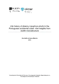Study of the Coastal Recruitment of Lipophrys Pholis in the Portuguese Occidental Coast Inferred from Otolith Microstructure Analysis