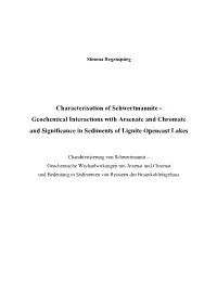 Characterisation of Schwertmannite - Geochemical Interactions with Arsenate and Chromate and Significance in Sediments of Lignite Opencast Lakes