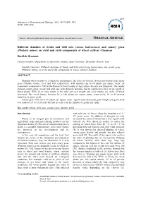 Different Densities of Weeds and Wild Oats (Avena Ludoviciana) and Canary Grass (Phalaris Minor) on Yield and Yield Components of Wheat Cultivar Chamran