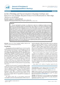 In Silico Modeling and Characterization of Squalene