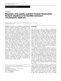 Musculature of the Primitive Gastrotrich Neodasys (Chaetonotida): Functional Adaptations to the Interstitial Environment and Phylogenetic Signiﬁcance