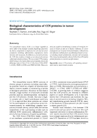 Biological Characteristics of CCN Proteins in Tumor Development Stephany C