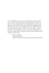 Carey Walsh Takes Us Into the Thicket of Scripture, Thorns and All, in Order to ‘Chase’ the Divine Mystery