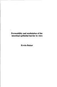 Permeability and Modulation of the Intestinal Epithelial Barrier