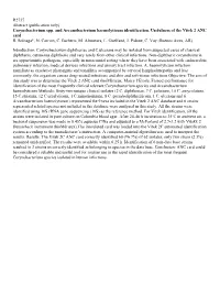 (Publication Only) Corynebacterium Spp. and Arcanobacterium Haemolyticum Identification