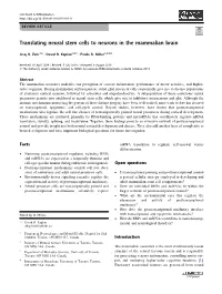 Translating Neural Stem Cells to Neurons in the Mammalian Brain