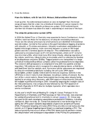 CICR Newsletter Template