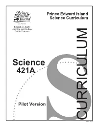 Pilot Version