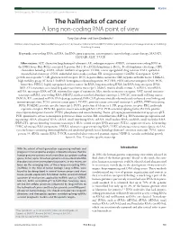 The Hallmarks of Cancer a Long Non-Coding RNA Point of View