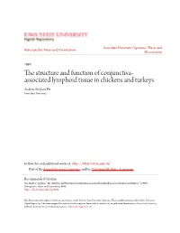 Associated Lymphoid Tissue in Chickens and Turkeys Andrew Stephen Fix Iowa State University