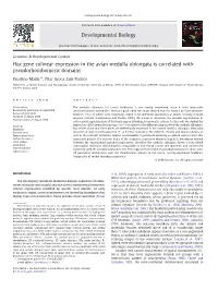 Hox Gene Colinear Expression in the Avian Medulla Oblongata Is Correlated with Pseudorhombomeric Domains
