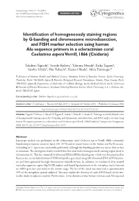Identification of Homogeneously Staining Regions by G-Banding and Chromosome Microdissection, and FISH Marker Selection Using