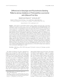 Differences in Karyotype and Fluorochrome Banding Patterns Among Variations of Trichosanthes Cucumerina with Different Fruit Size