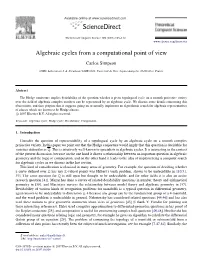 Algebraic Cycles from a Computational Point of View