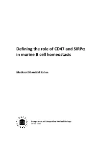 Defining the Role of CD47 and Sirpα in Murine B Cell Homeostasis