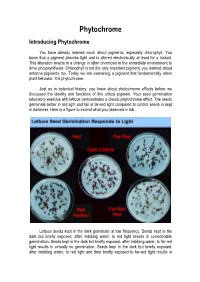 Phytochrome Introducing Phytochrome
