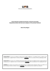 Unravelling the Positional Behaviour of Fossil Hominoids: Morphofunctional and Structural Analysis of the Primate Hindlimb