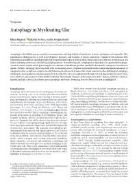 Autophagy in Myelinating Glia