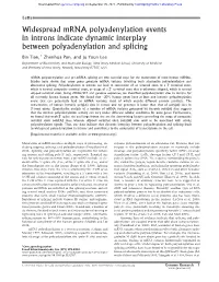 Widespread Mrna Polyadenylation Events in Introns Indicate Dynamic Interplay Between Polyadenylation and Splicing