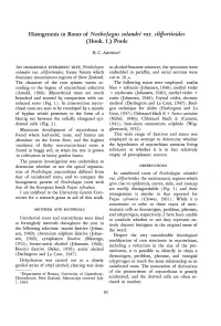 Histogenesis in Roots of Nothofagus Solandri Var. Clifjortioides (Hook. F.) Poole