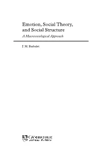 Emotion, Social Theory, and Social Structure a Macrosociological Approach