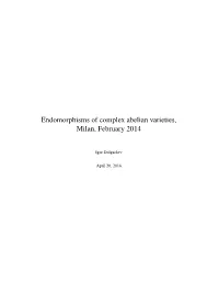 Endomorphisms of Complex Abelian Varieties, Milan, February 2014