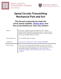 Spinal Circuits Transmitting Mechanical Pain and Itch