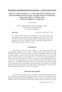 A Case for the Extirpation, and Possible Extinction, of the Native Stink Bug Rhacognathus Americanus (Pentatomidae: Asopinae)