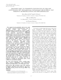 Aragonite Infill in Overgrown Conceptacles of Coralline Lithothamnion Spp