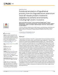 Functional Annotation of Hypothetical Proteins from the Exiguobacterium