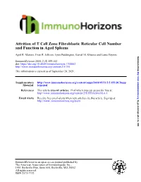 And Function in Aged Spleens Attrition of T Cell Zone Fibroblastic