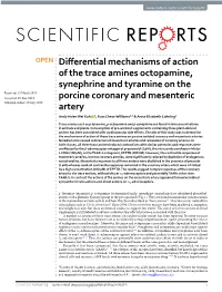 Differential Mechanisms of Action of the Trace Amines Octopamine