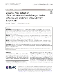 Dynamic AFM Detection of the Oxidation-Induced Changes in Size