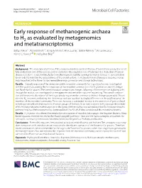 Early Response of Methanogenic Archaea to H2 As Evaluated By