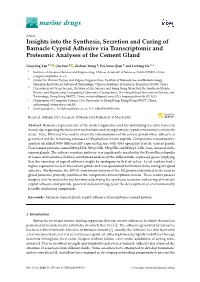 Insights Into the Synthesis, Secretion and Curing of Barnacle Cyprid Adhesive Via Transcriptomic and Proteomic Analyses of the Cement Gland