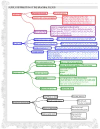 Supply Distribution of the Brachial Plexus