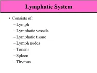 Lymphatic System